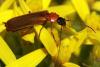 210914 – Photo : Vincent Derreumaux – France (26)