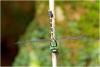 210927 – Photo : Benoit Guillon – Vietnam