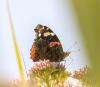 211491 – Photo : lguez – France (80)