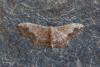 211480 – Photo : Johan Verstraeten – Espagne