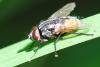 211413 – Photo : Didier Houbrechts – Belgique