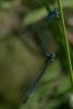 211004 – Photo : Thierry Wattez – France (79)