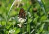 211260 – Photo : Stella MOREL – France (84)