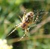 211540 – Photo : Catherine Reymonet-Smitten – France (19)