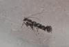 211703 – Photo : Dominique THAUVIN – France (45)