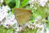 211613 – Photo : florent besson – France (18)