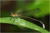 211418 – Photo : Benoit Guillon – Vietnam