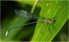211420 – Photo : Benoit Guillon – Vietnam
