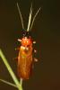 211043 – Photo : Vincent Derreumaux – France (04)