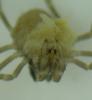 211039 – Photo : B. Bal – France (74)