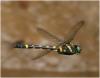 211106 – Photo : Benoit Guillon – Vietnam