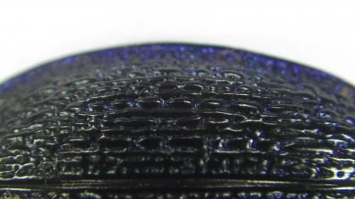 Carabus intricatus