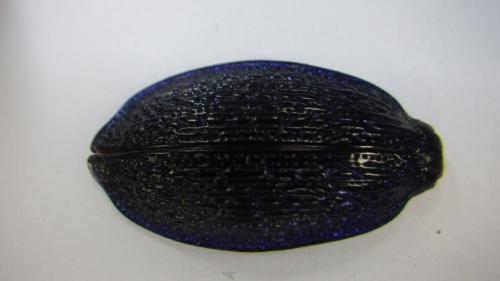 Réf. 212 520 : Carabus intricatus