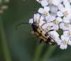 212047 – Photo : chrisoneye – France (11)