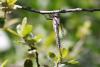 212789 – Photo : Maamar SELLAM – France (28)
