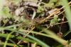 212302 – Photo : Maamar SELLAM – France (28)