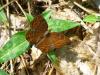 212664 – Photo : Jean Roger – Mayotte