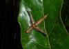 212749 – Photo : Jean Roger – Mayotte