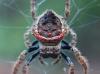 212665 – Photo : Jean Roger – Mayotte