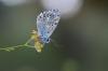 212590 – Photo : Leela Channer – France (30)