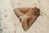 212081 – Photo : florent besson – France (18)
