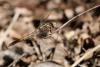 212088 – Photo : Stella MOREL – France (84)