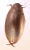 212144 – Photo : Mathurin CARNET – France (58)