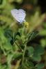 212374 – Photo : Olivier Pouvreau – France (86)