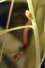 212486 – Photo : Mathurin CARNET – France (58)