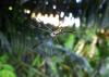 212939 – Photo : Jean Roger – Mayotte