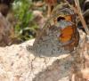 212033 – Photo : Catherine Reymonet-Smitten – France (19)
