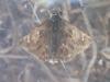 212042 – Photo : Nicolas Crouzet – France (13)