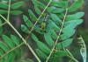212658 – Photo : Jean Roger – Mayotte