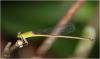 212293 – Photo : Benoit Guillon – Vietnam