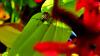 213941 – Photo : Adrien – France (04)