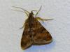 213717 – Photo : Jean-Jacques PORTENEUVE – France (34)