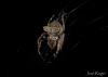 213305 – Photo : Jean Roger – Mayotte