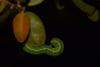 213430 – Photo : Matthias Colin – France (34)