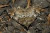 213558 – Photo : florent besson – France (05)