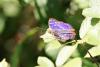 213191 – Photo : Maamar SELLAM – France (28)