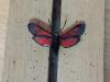 213526 – Photo : Limenitis78 – France (04)