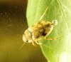 213936 – Photo : Mathurin CARNET – France (58)