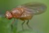 213781 – Photo : Christian Berquer – France (50)