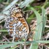 213620 – Photo : Gilles Creyssac – France (16)