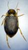 213934 – Photo : Mathurin CARNET – France (58)