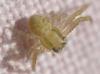 213559 – Photo : Christian Berquer – France (50)