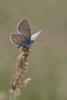 213540 – Photo : Patrick Nourdin – France (12)