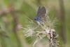 213541 – Photo : Patrick Nourdin – France (12)