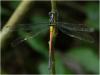 213751 – Photo : Benoit Guillon – Vietnam