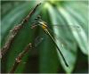 213752 – Photo : Benoit Guillon – Vietnam